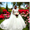 Elegant Plus Size long sleeves Wedding Gown